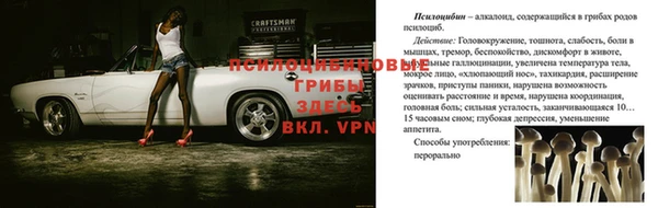 метамфетамин Алексин