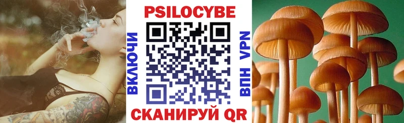 закладки Благодарный Псилоцибиновые грибы мицелий